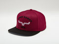 #color_dark red