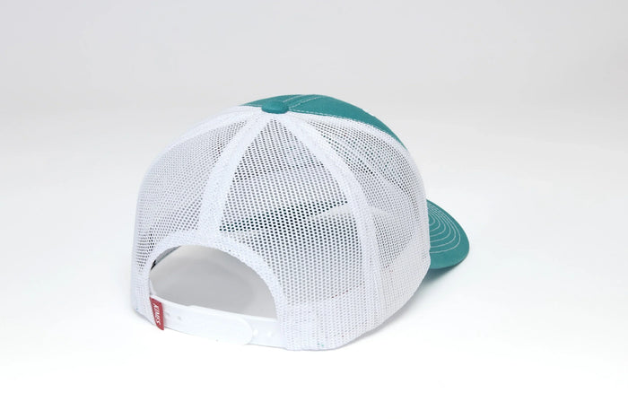 #color_teal