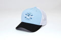#color_light blue