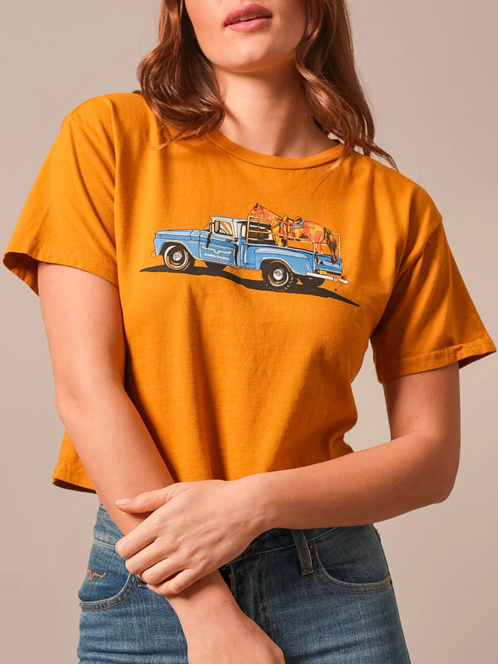 #color_gold