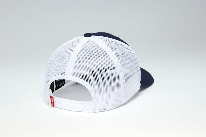 #color_navy