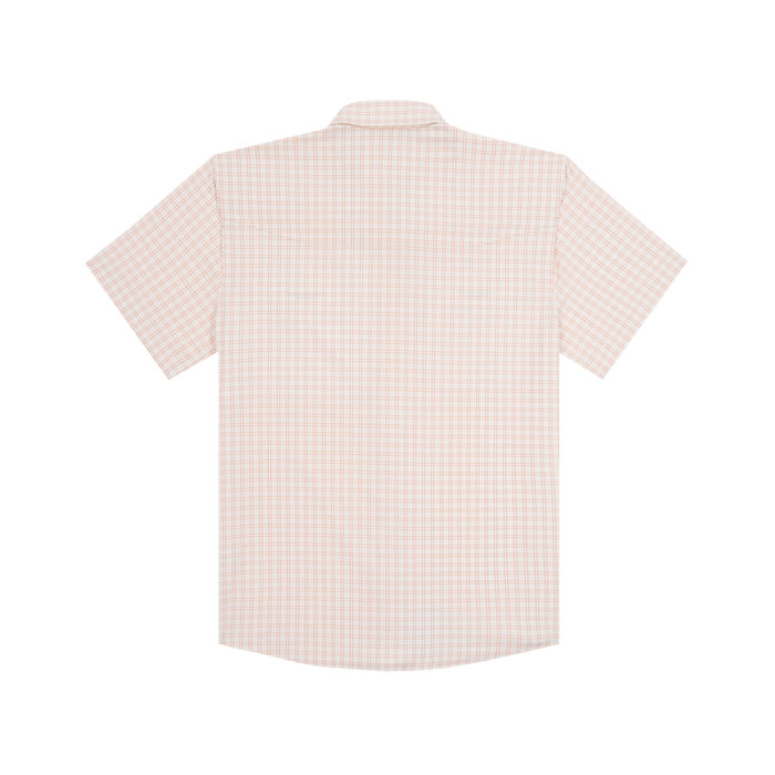 Product photo The Gumbo back