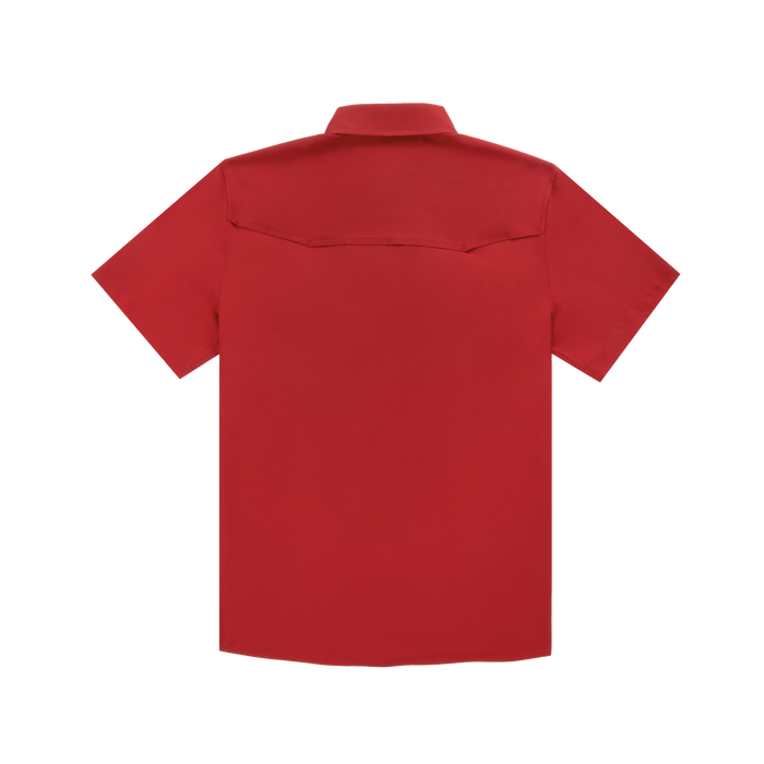 product photo the norman back