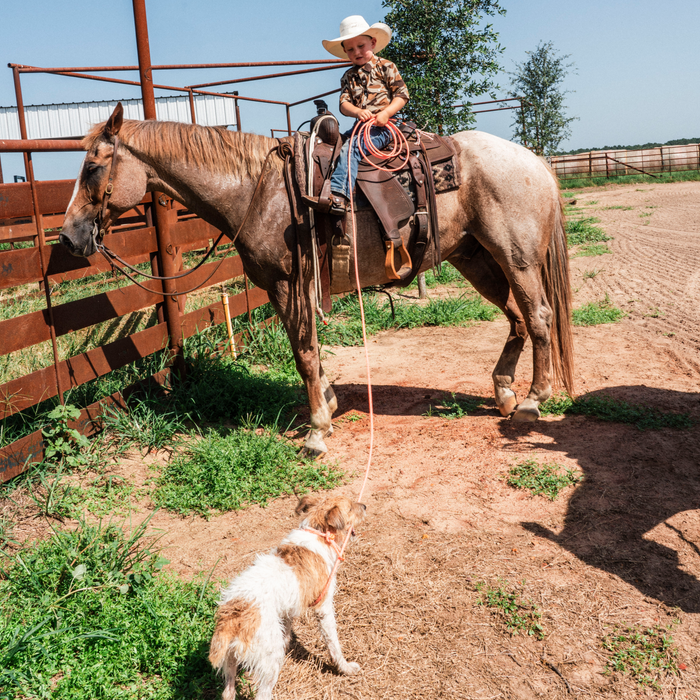 Young boy wearing The Wingman shirt sitting on a saddled horse while a small dog looks up at him in a sunny ranch setting