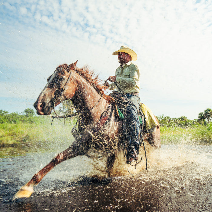 Man riding horse through river