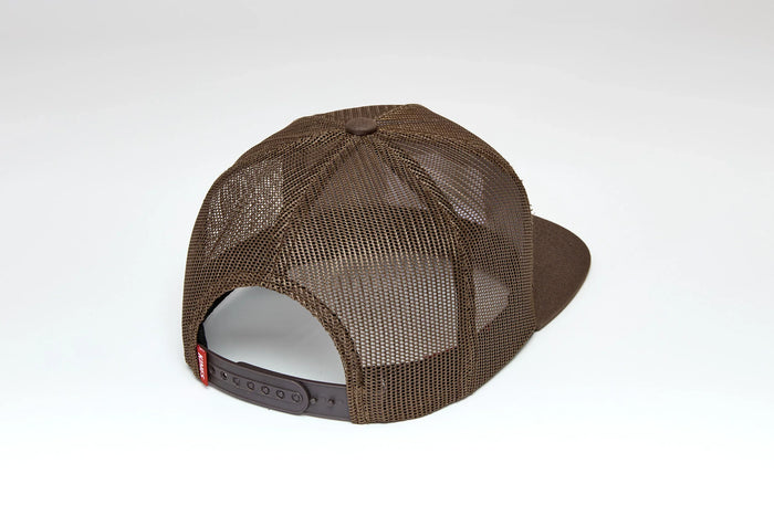 #color_brown